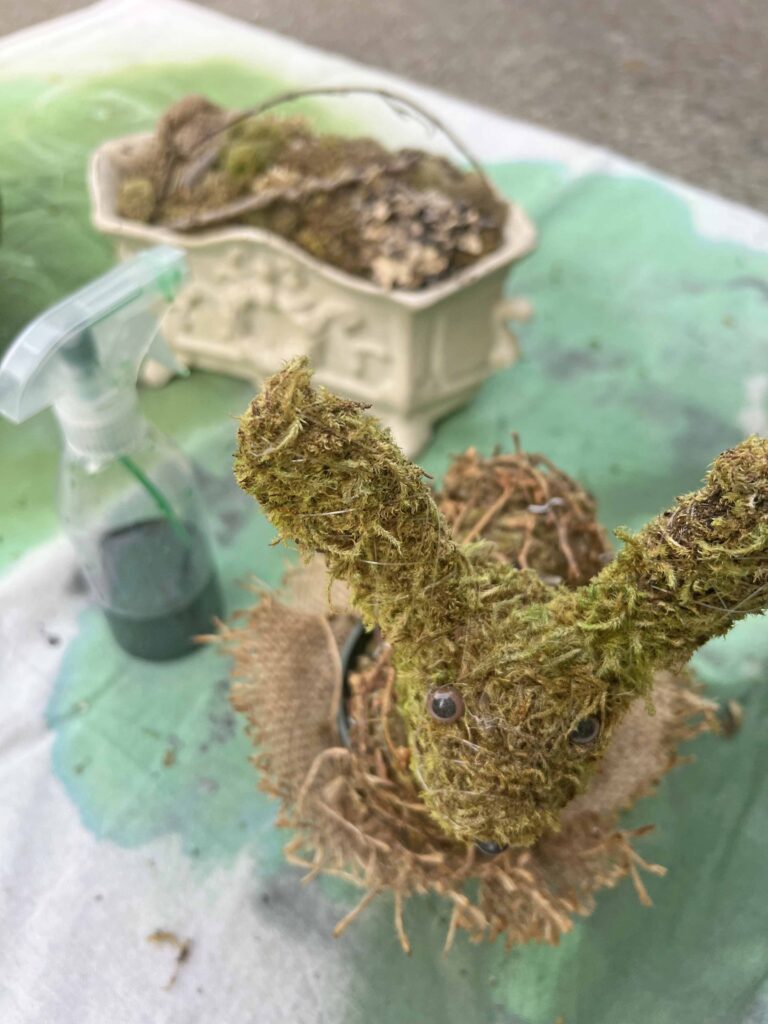 how to revive moss decor