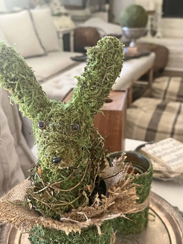 how to revive moss decor