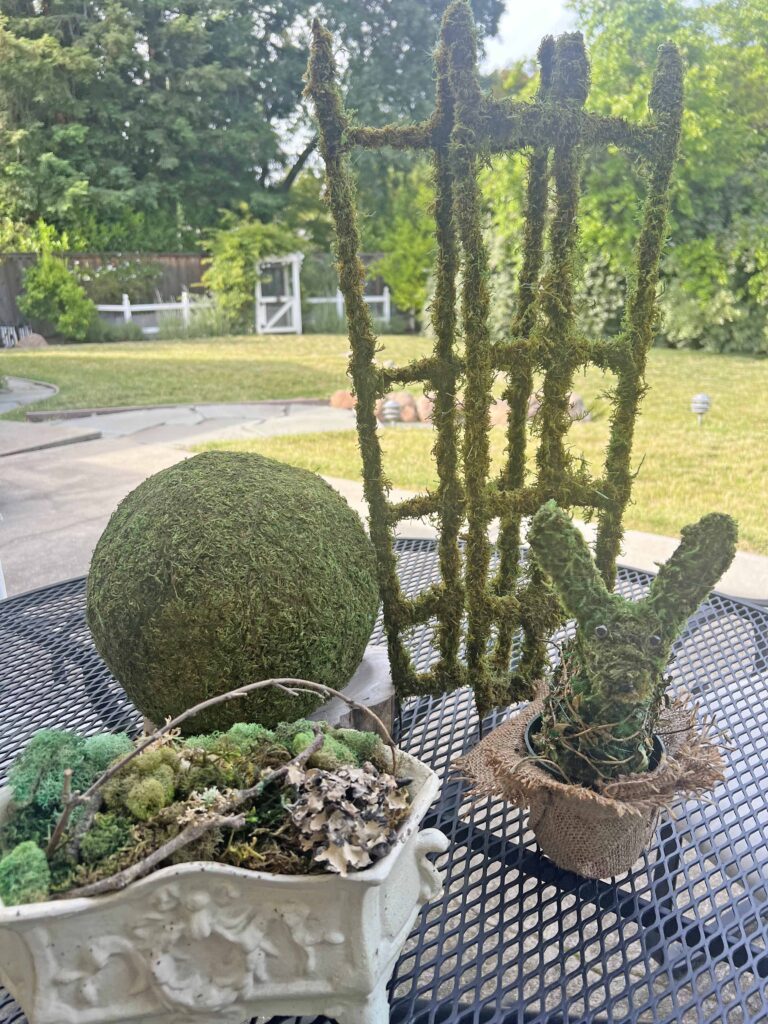 how to revive moss decor