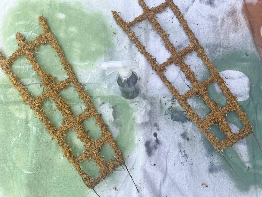 how to revive moss decor