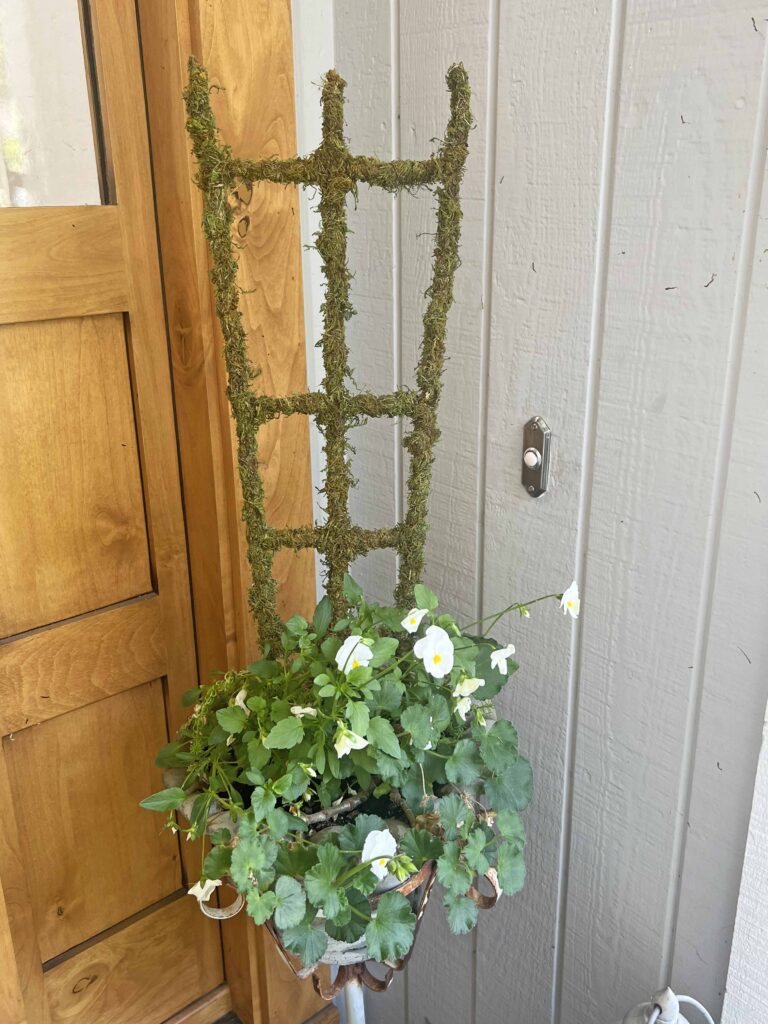 how to revive moss decor