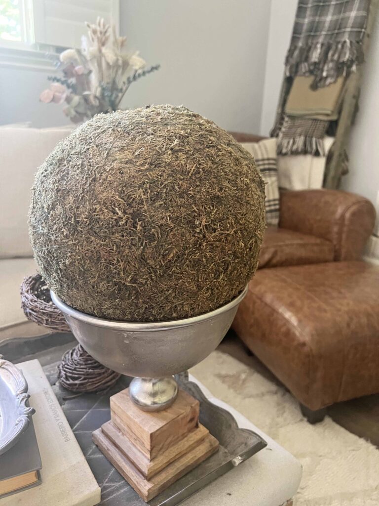 how to revive moss decor