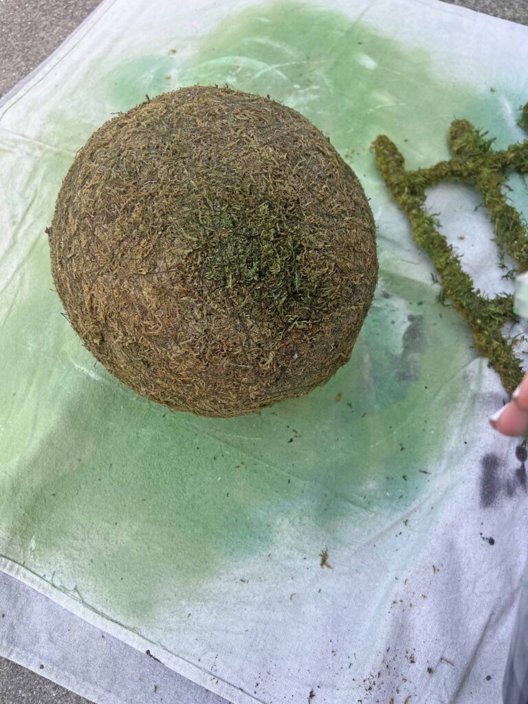 how to revive moss decor