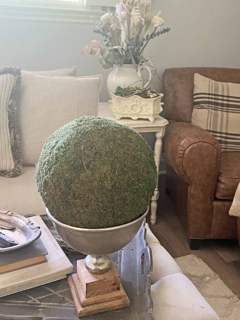 how to revive moss decor