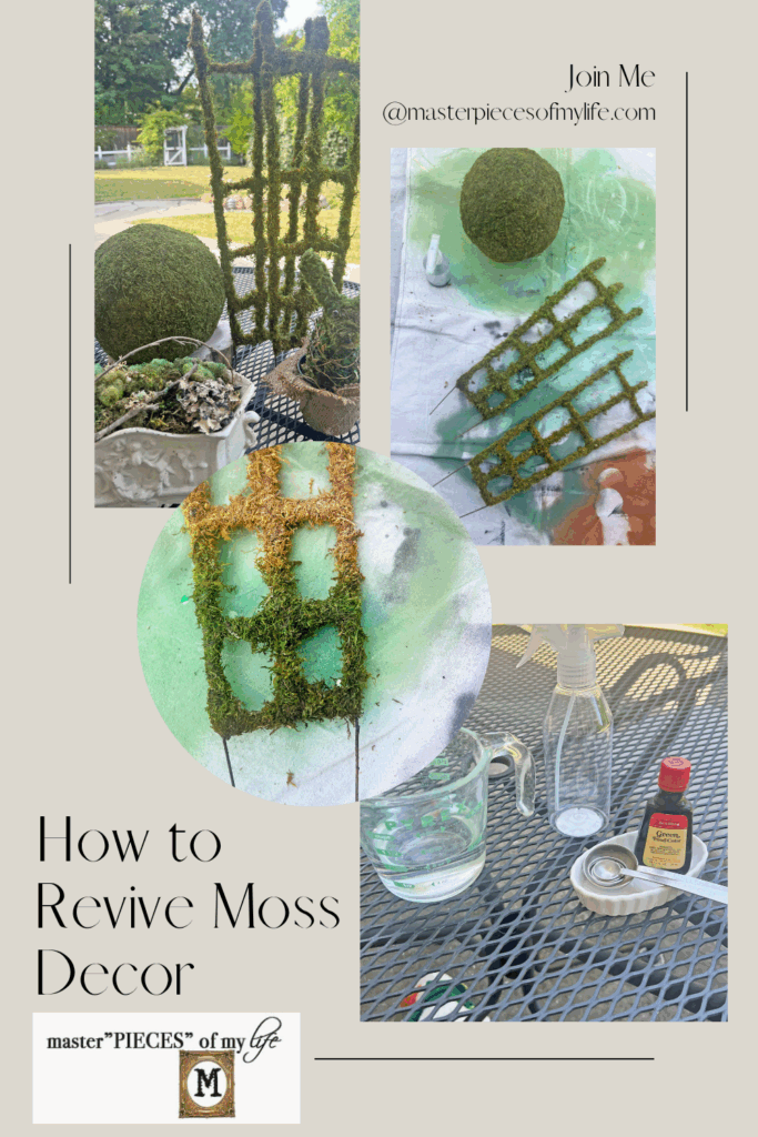 how to revive moss decor Pinterest