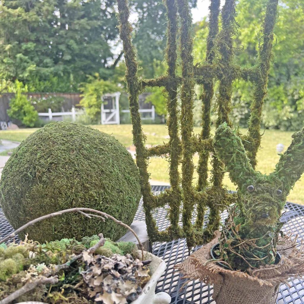 how to revive moss decor