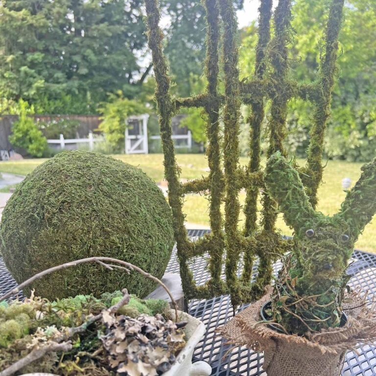 How to Revive Moss Decor