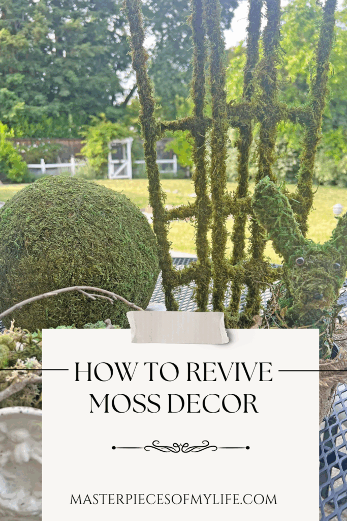 how to revive moss decor Pinterest