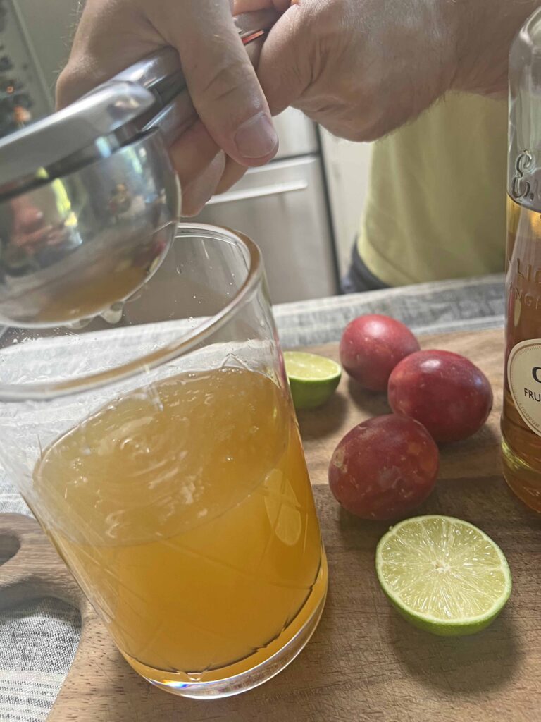 porn star martini cocktail recipe