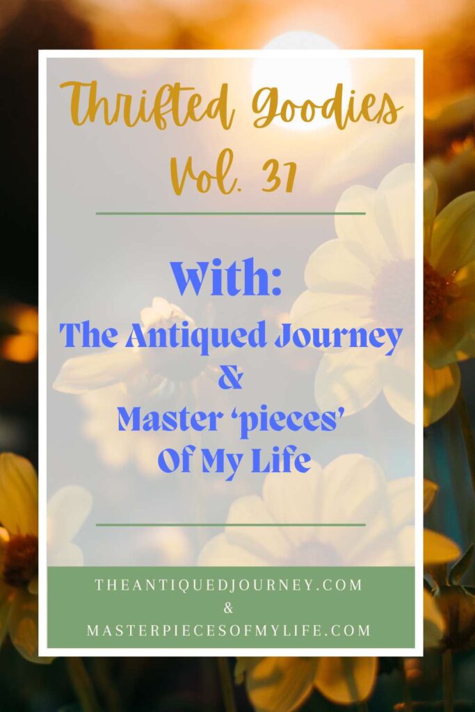 thrifted goodies series 37 July