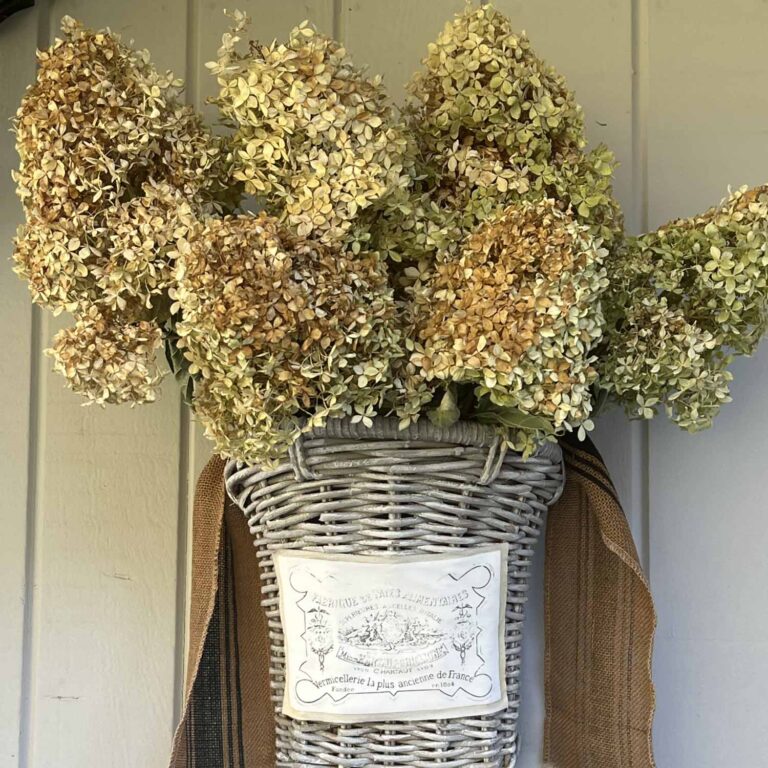 Things You Should Always Buy at Thrift Stores and Never Pass Up