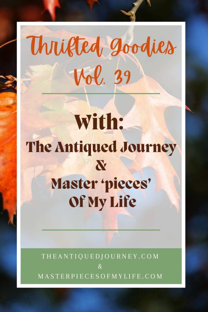 thrifted goodies series September