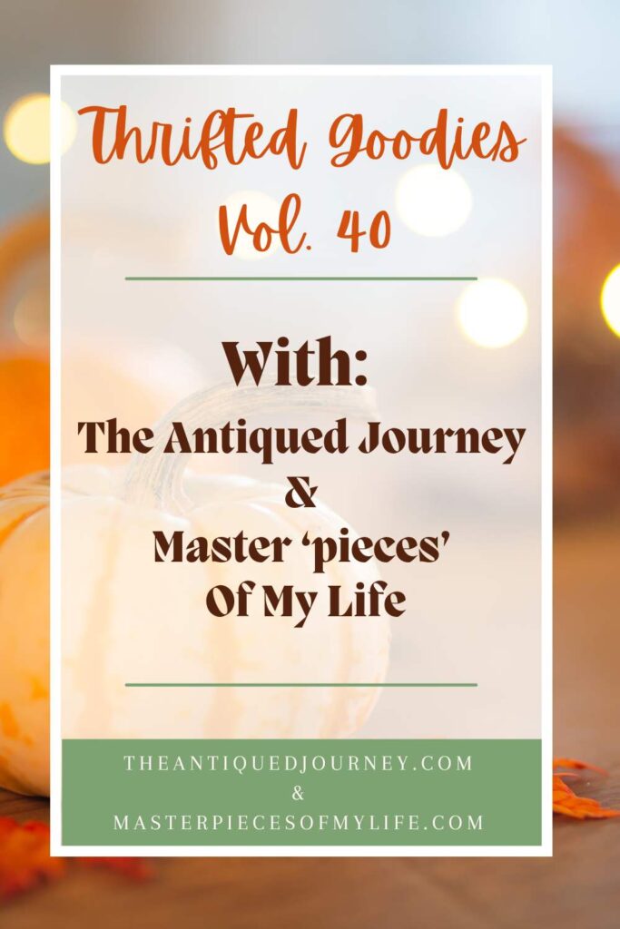 Thrifted Goodies Graphic c40