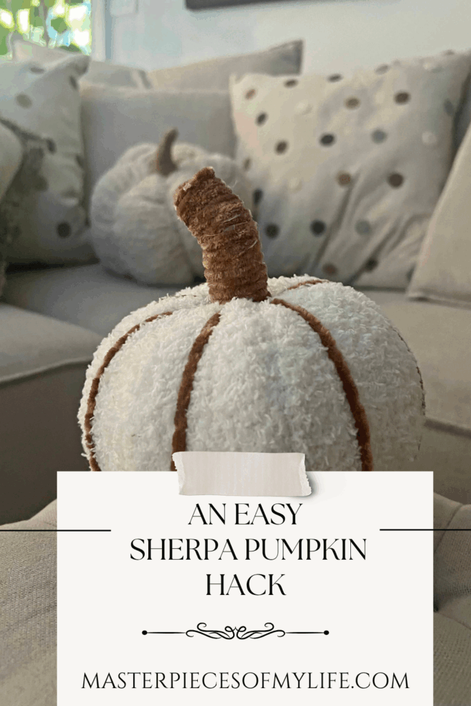 An easy sherpa pumpkin hack DIY