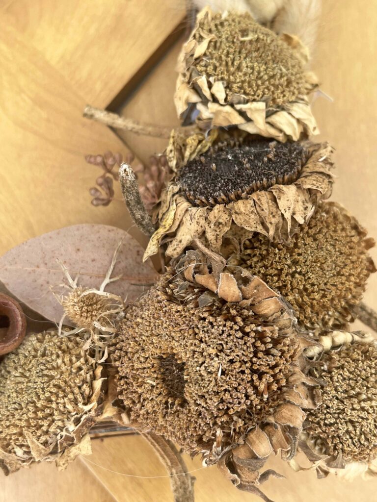 Fall craft: moody squares dried coral wreath DIY