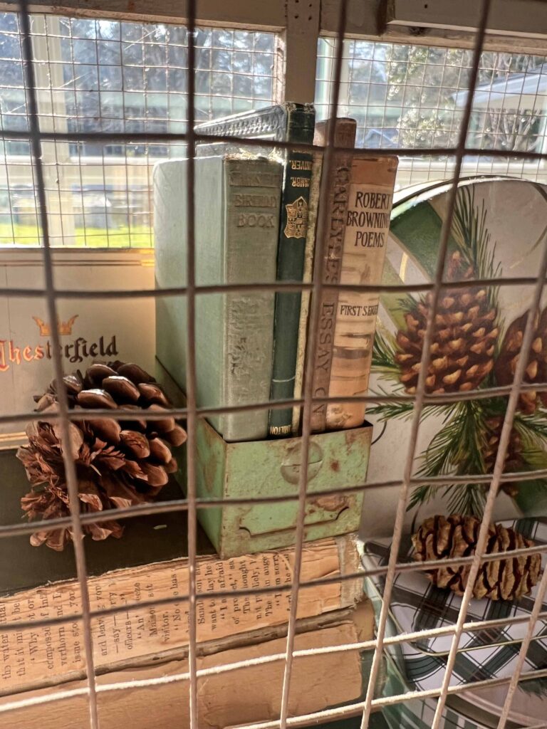 Thrifting in the new year: what I thrifted vs. how I styled it