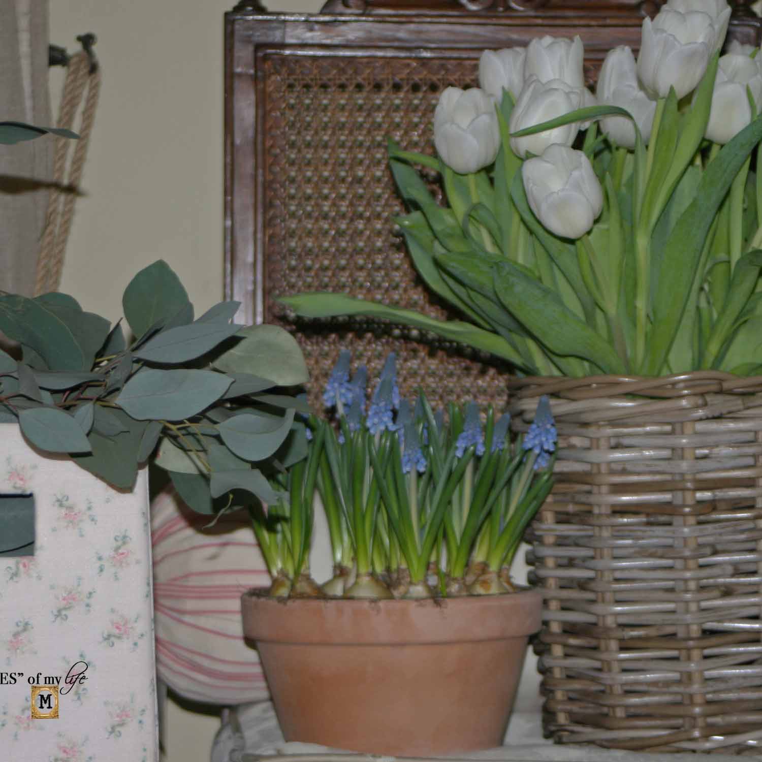 February Florals Masterpieces Magazine