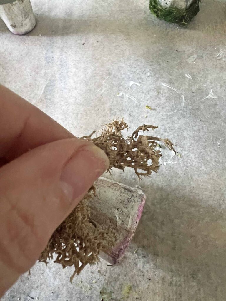 Champagne cork mushroom craft DIY