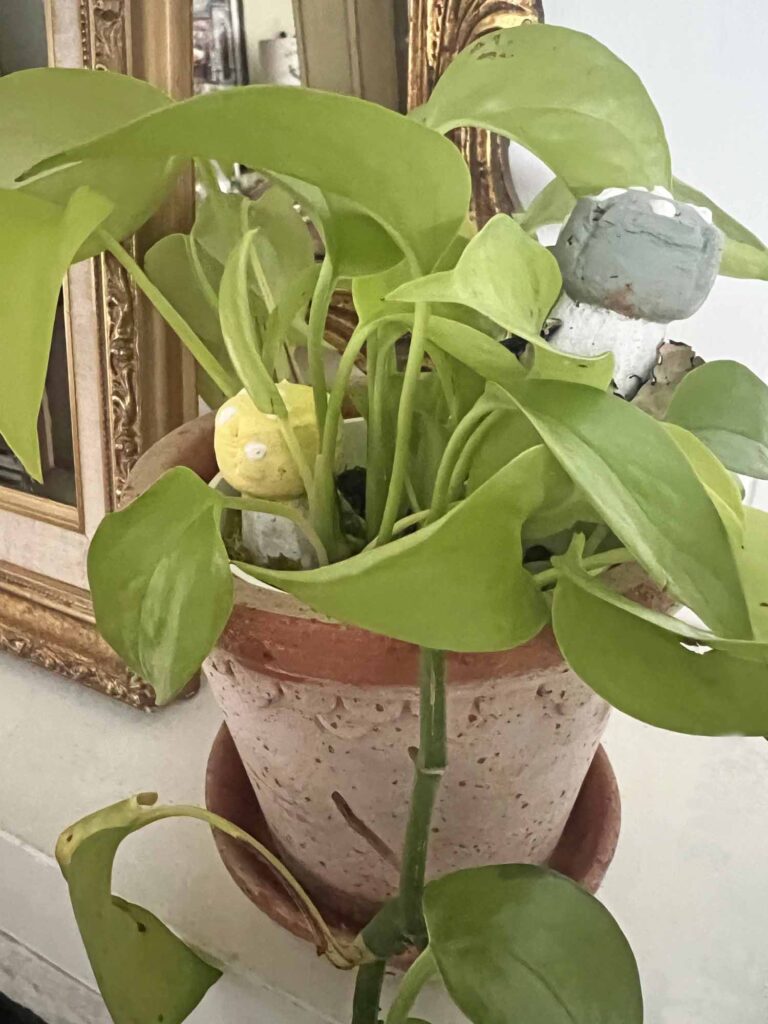 Champagne cork mushroom craft DIY