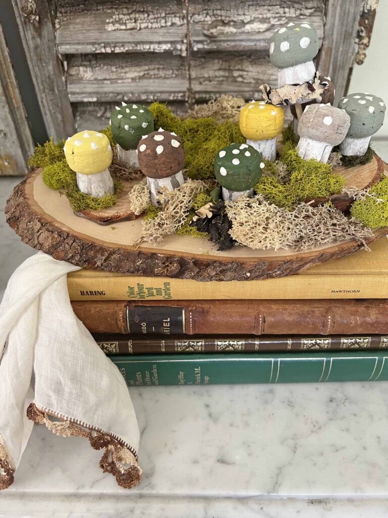 Champagne cork mushroom craft DIY