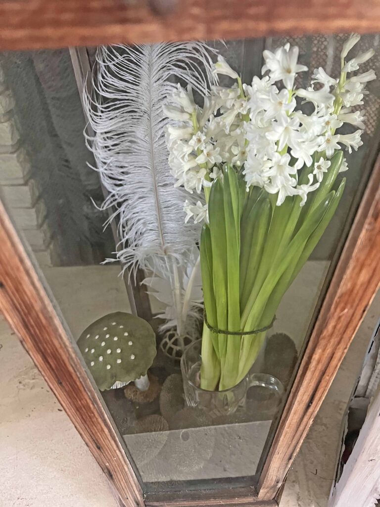 Spring bulb lantern decor ideas