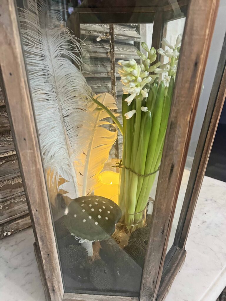 Spring bulb lantern decor ideas