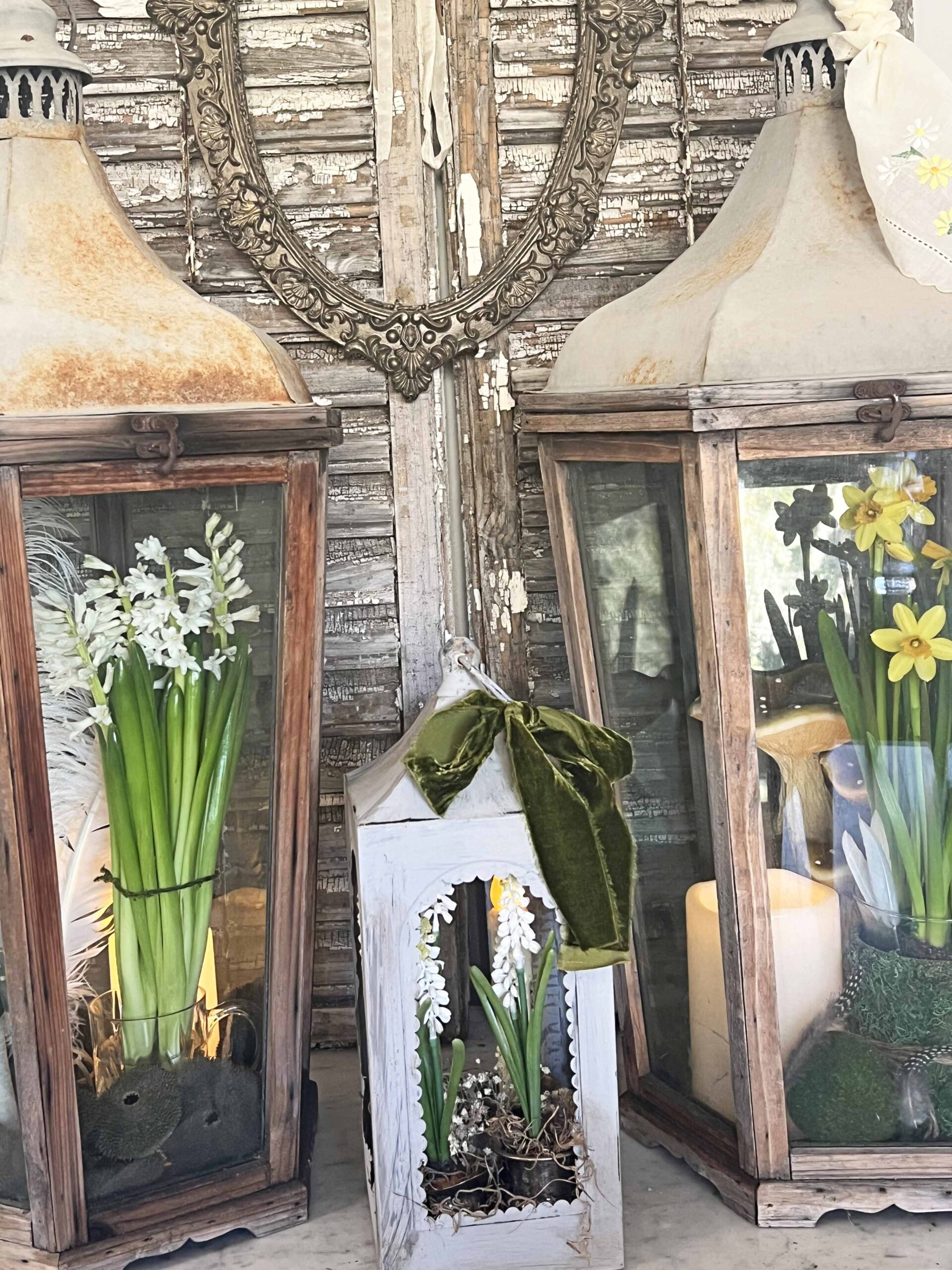 Spring bulb lantern decor ideas