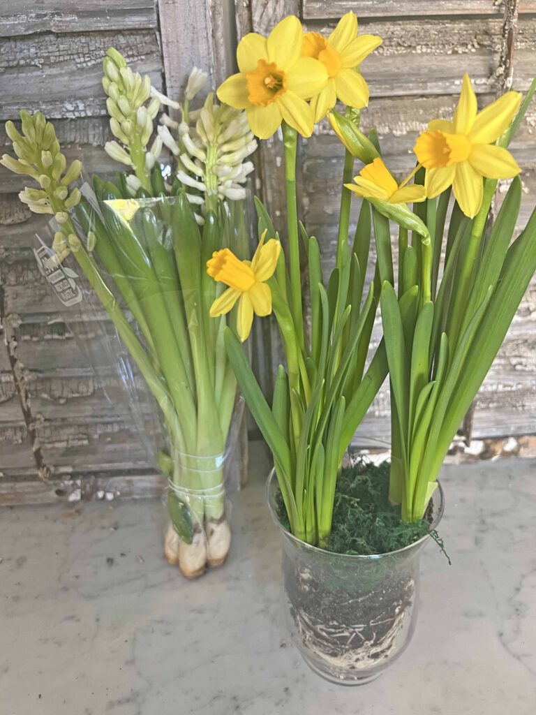 Spring bulb lantern decor ideas