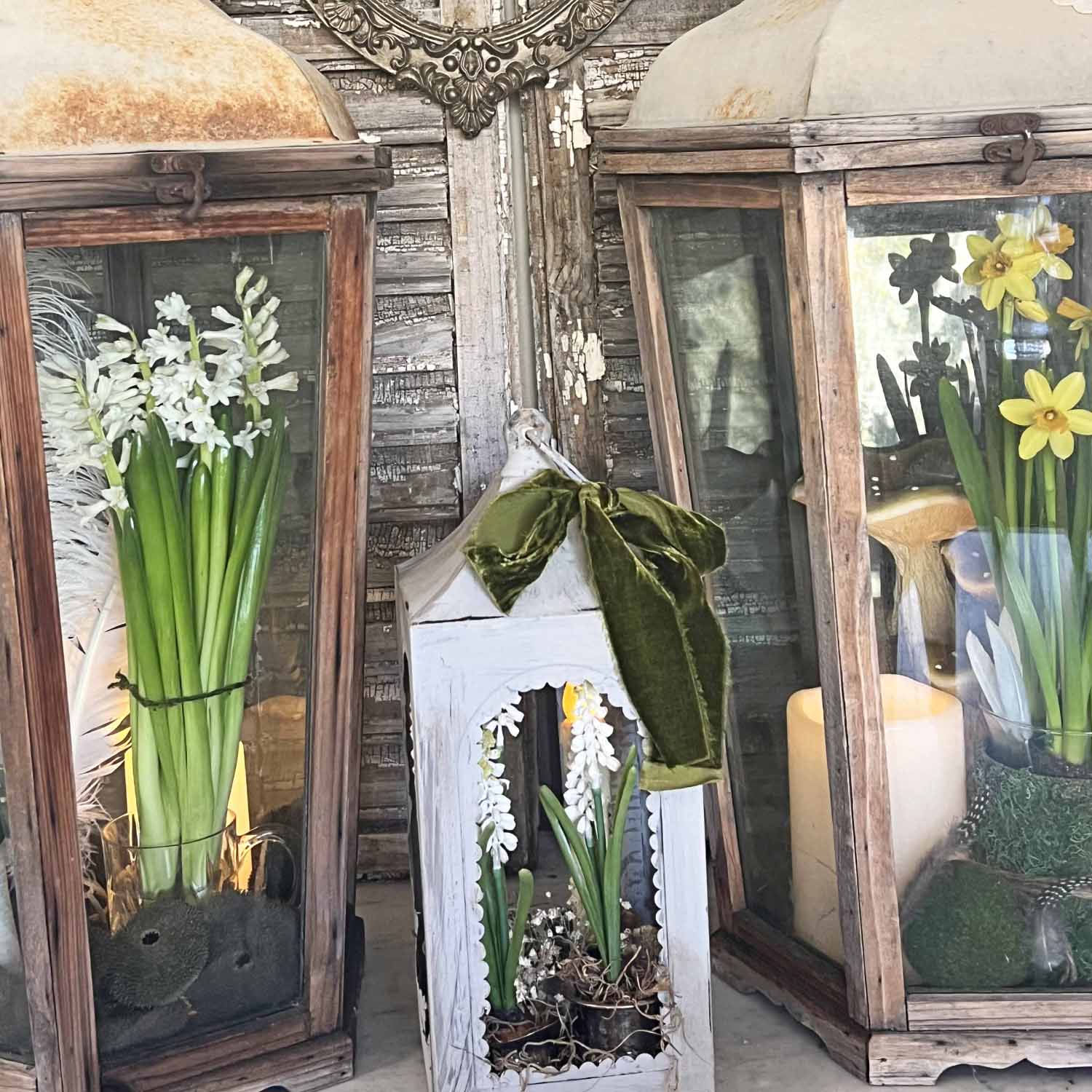 Spring bulb lantern decor ideas