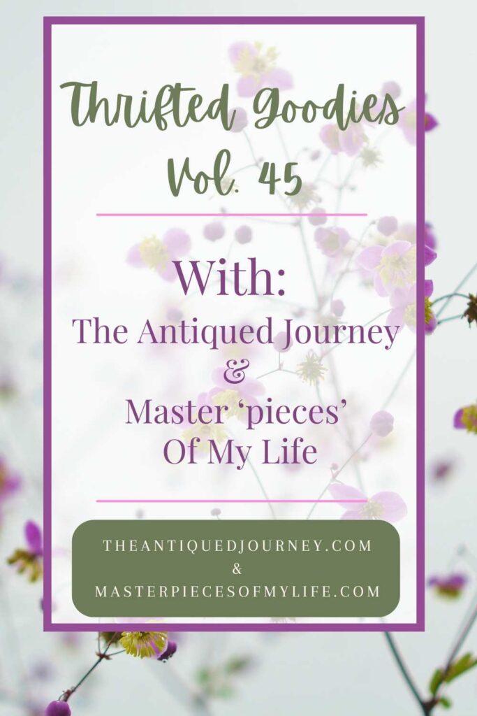 thrifted goodies graphic volume 45