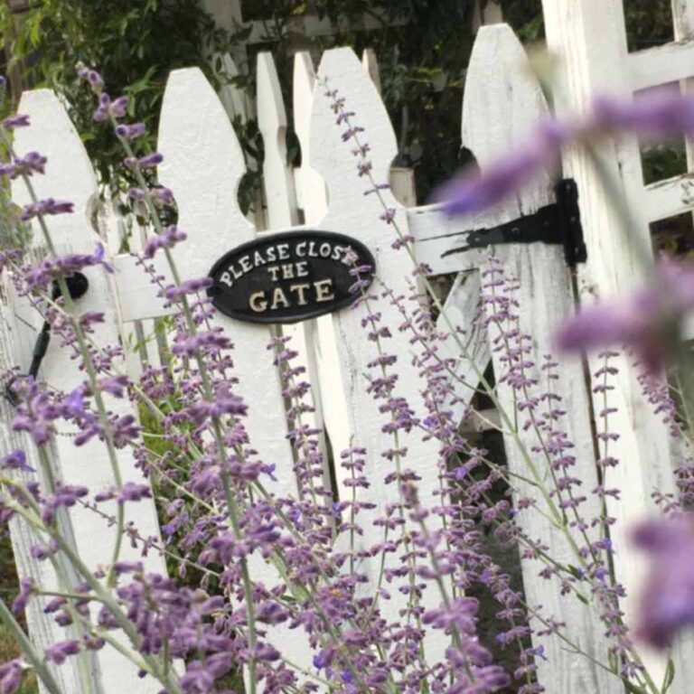 How to Add Charm to Your Cottage Garden: Easy Ideas for a Whimsically Filled Paradise