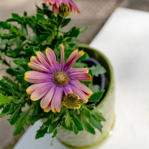 Four Seasons Interior Design Hop Summer Edition Libbie A Life Unfolding