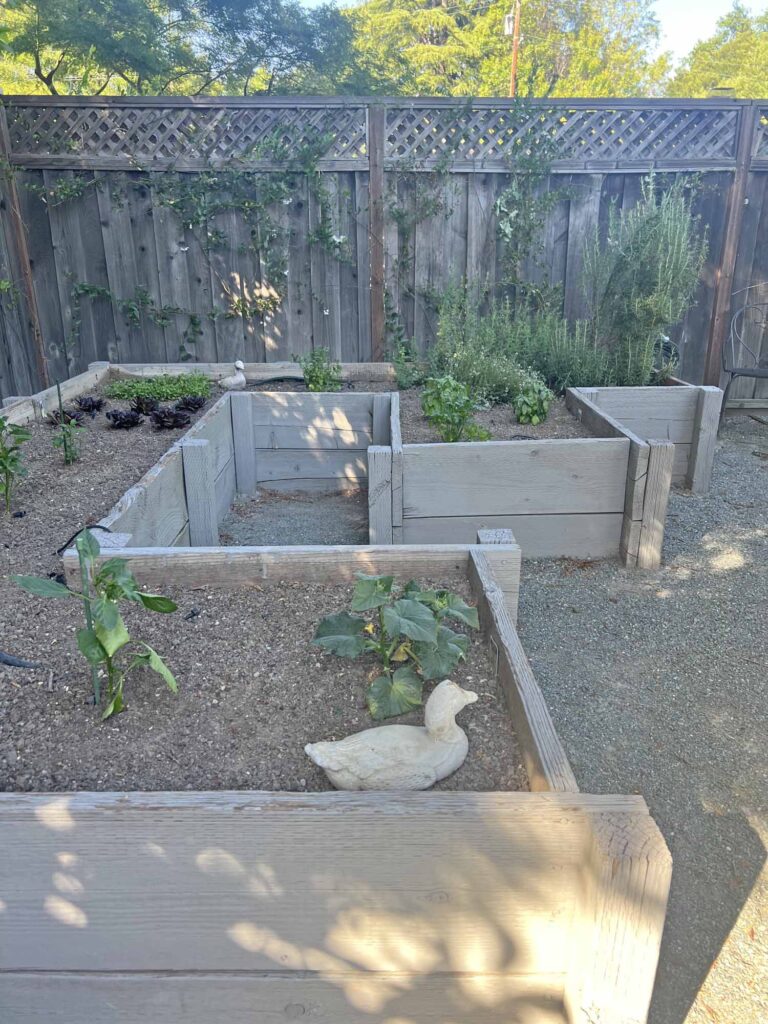a comprehensive guide to growing your own home vegetable garden raised bed