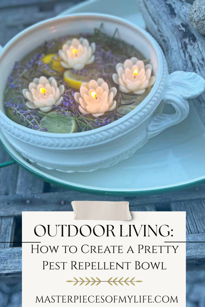 how to create a pretty pest repellent bowl Pinterest