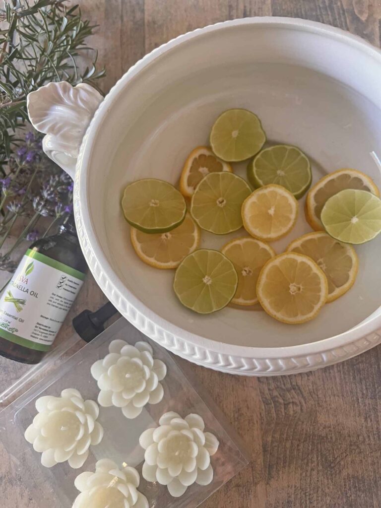 how to create a pretty pest repellent bowl citrus layer