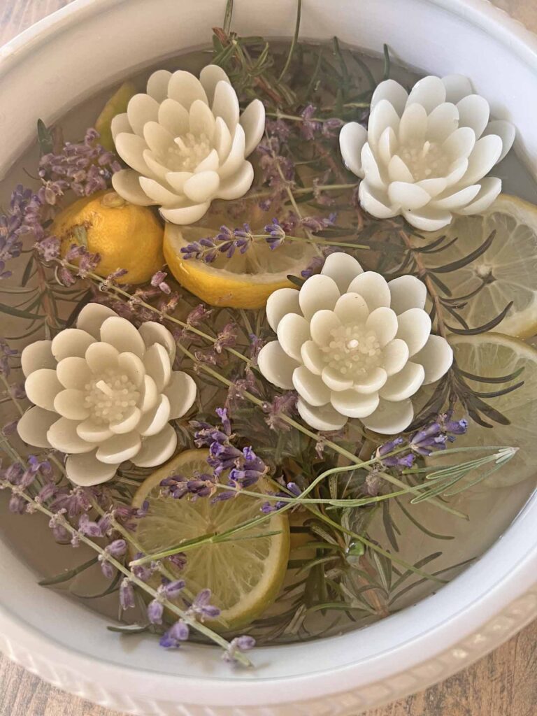 how to create a pretty pest repellent voila!