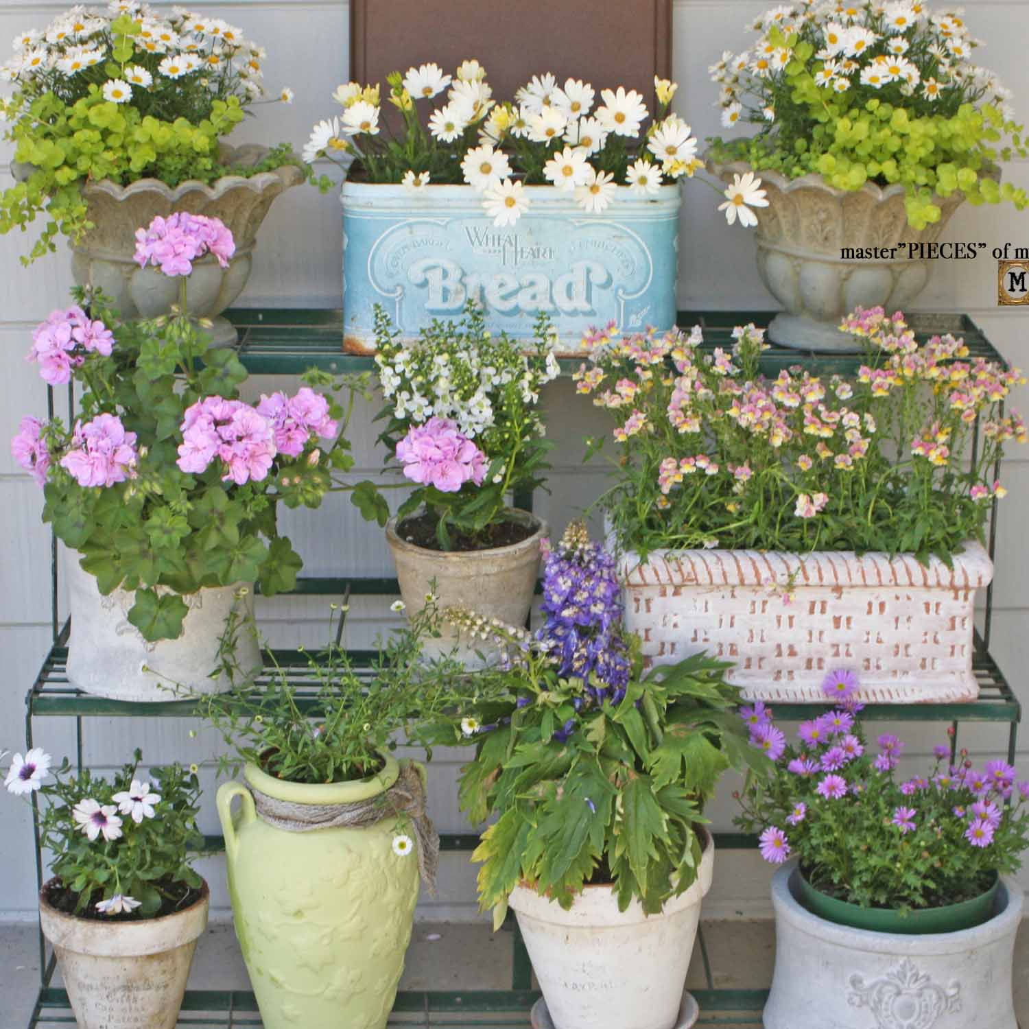 comprehensive guide to container gardening etagere display on back patio