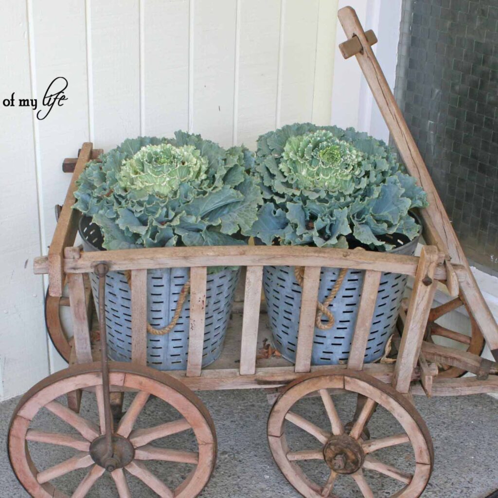 comprehensive guide to container gardening Fall | Autumn