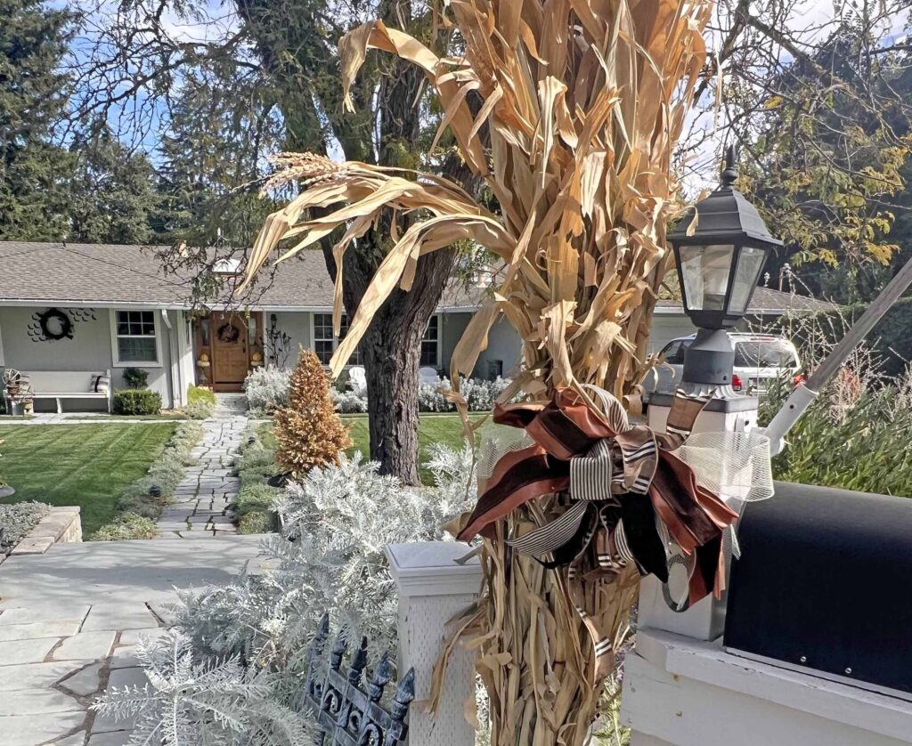 Organic Fall Decor Cornstalks by the mailbox