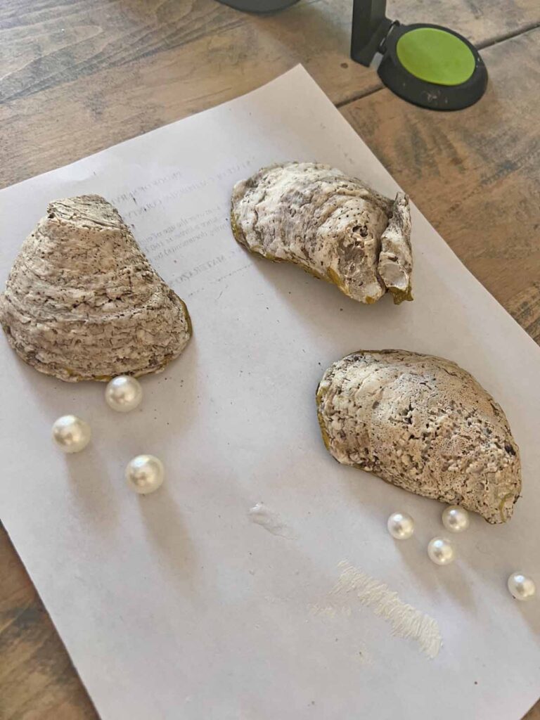 Summer craft: How to decoupage oyster shells into trend forward trinket dishes - inverted with pearl feet selection
