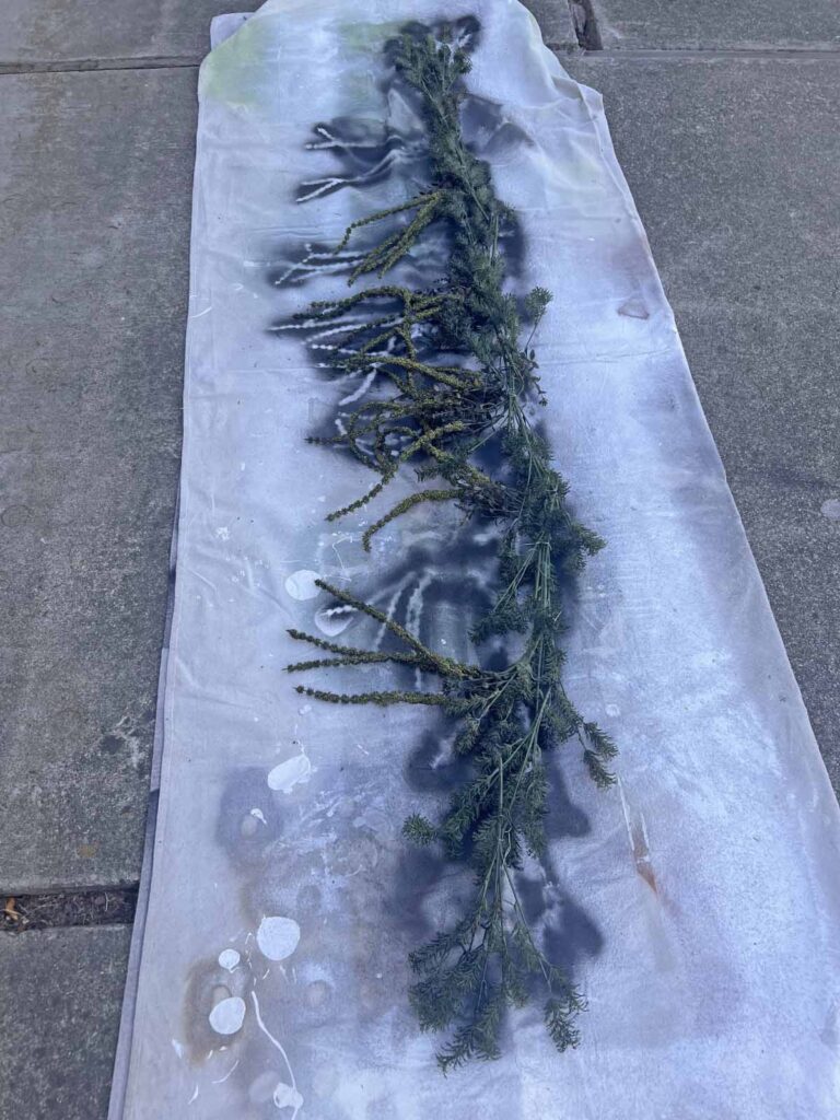 Another Anthropologie Dupe: Cascading black boughs Halloween garland DIY spray painting 2nd side