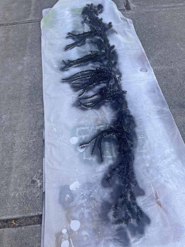 Another Anthropologie Dupe: Cascading black boughs Halloween garland DIY spray painted first side
