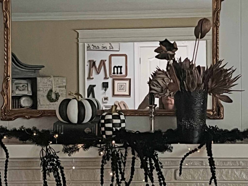 Another Anthropologie Dupe: Cascading black boughs Halloween garland DIY